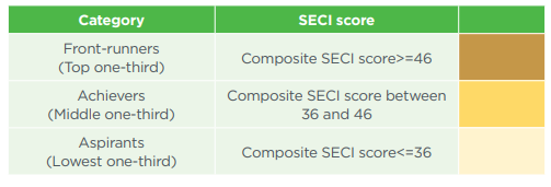 SECI-Score
