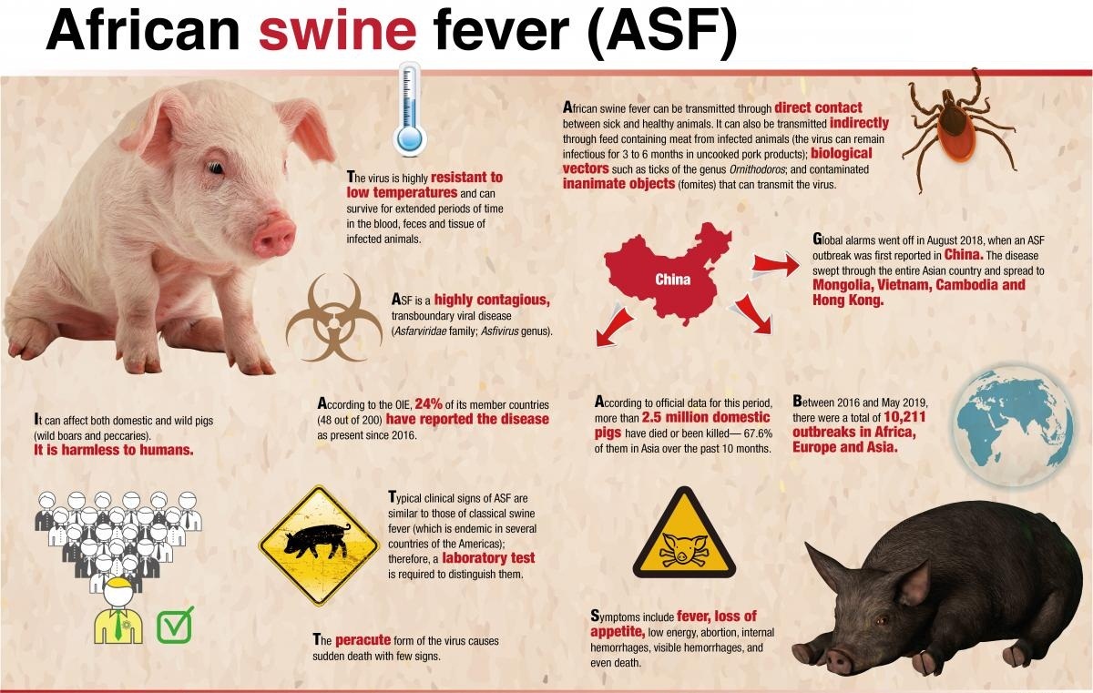 African Swine Fever in Assam | 04 May 2020