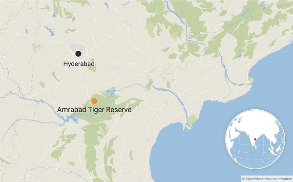 Amrabad-Tiger-Reserve