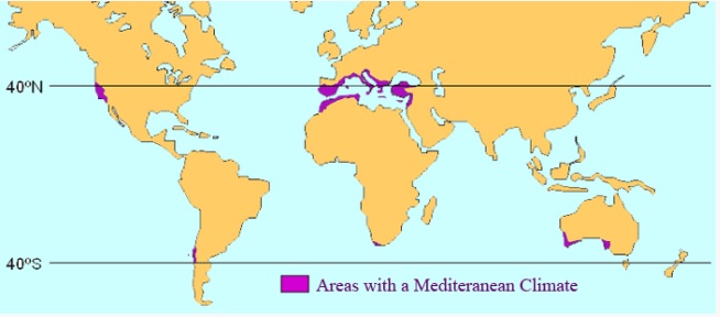 Mediteranean-climate
