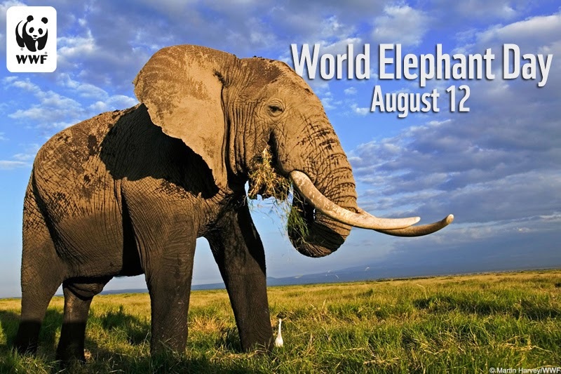 World-Elephant-Day
