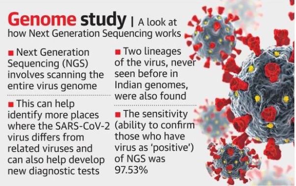 Genome-Study