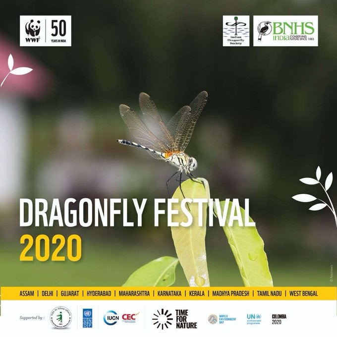 Dragonfly-Festival-2020