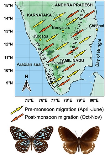 Pre-monsoon