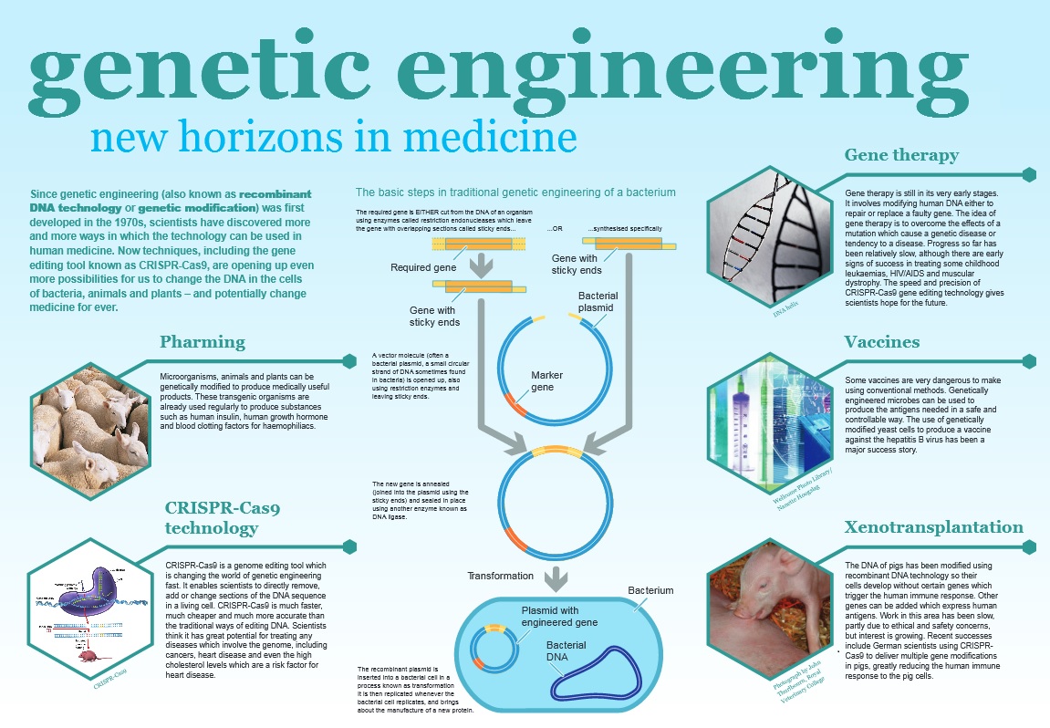genetic-engineering