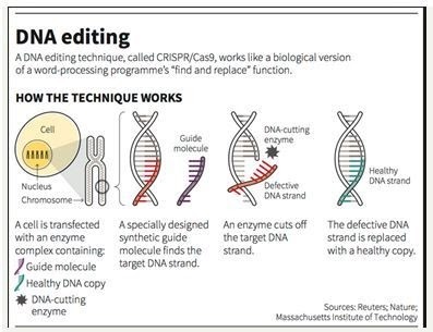 DNA-editing