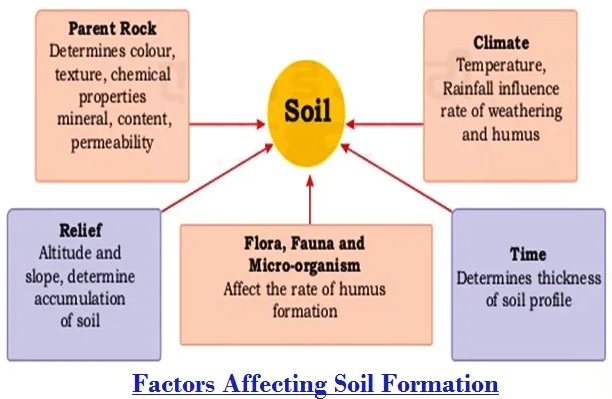 Factors-Affecting-Soil-Formation
