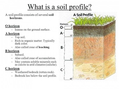 Soil-profile