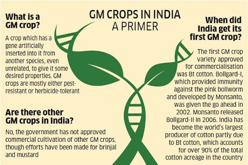 GM-Crops-in-india