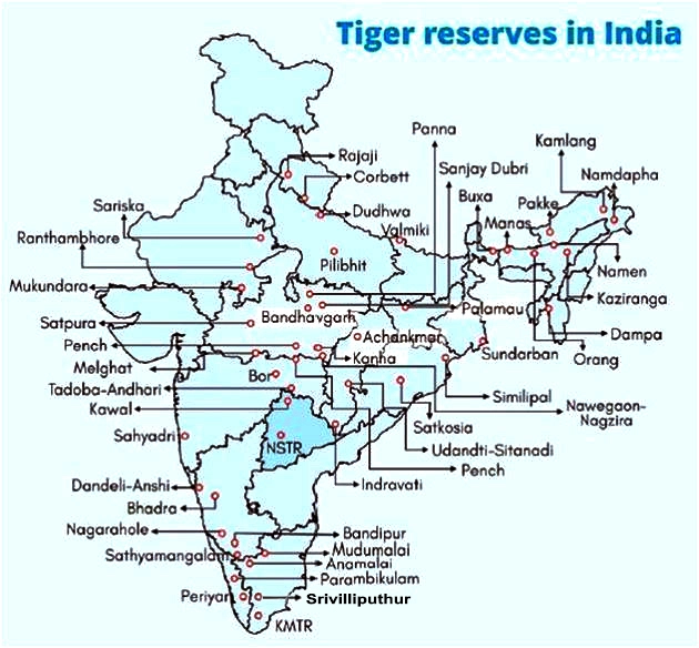 Tiger-Reserve