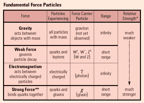Fundamental-Force-Particles
