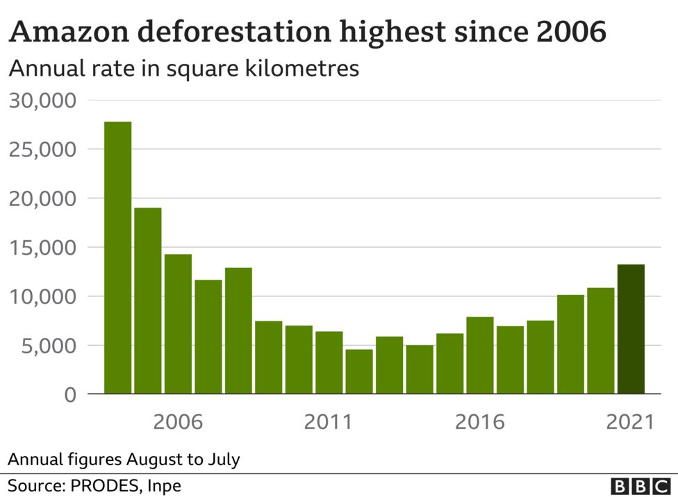 Amazon-deforestation