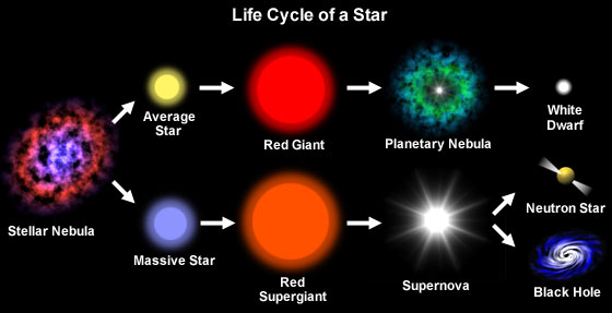 cycle-of-a-star