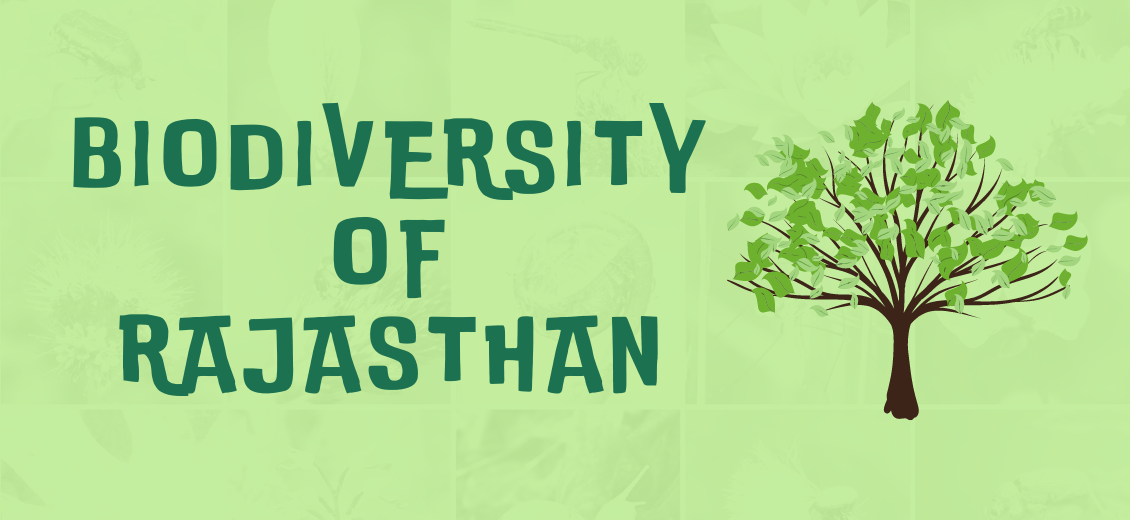 Biodiversity of Rajasthan