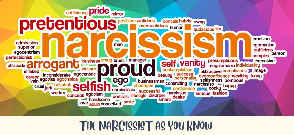define narcissism essay