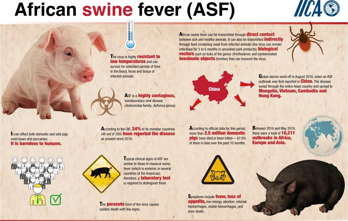 African Swine Fever - Drishti IAS