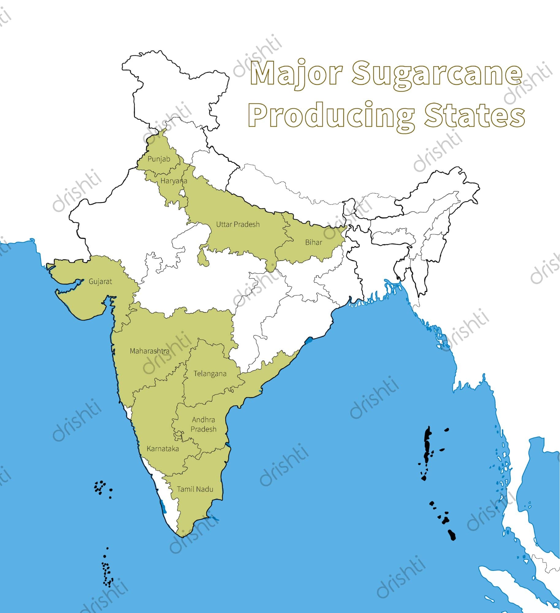 economic importance of cash crops