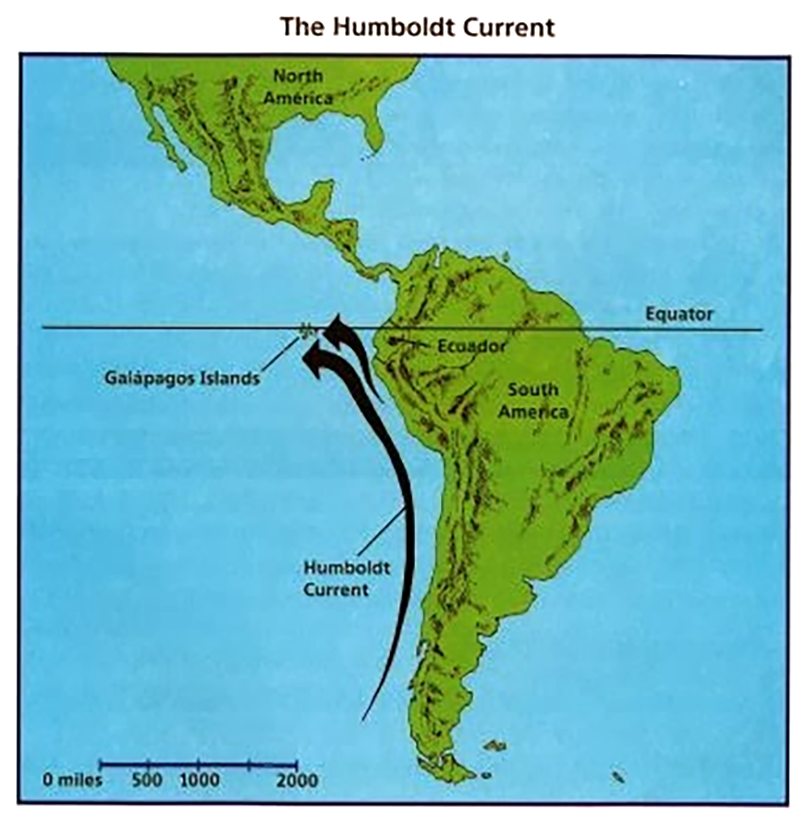 Перуанское течение является. Южная Америка перуанское течение. Течение Гумбольдта на карте. Перуанское течение на карте Южной Америки. Перуанское течение.