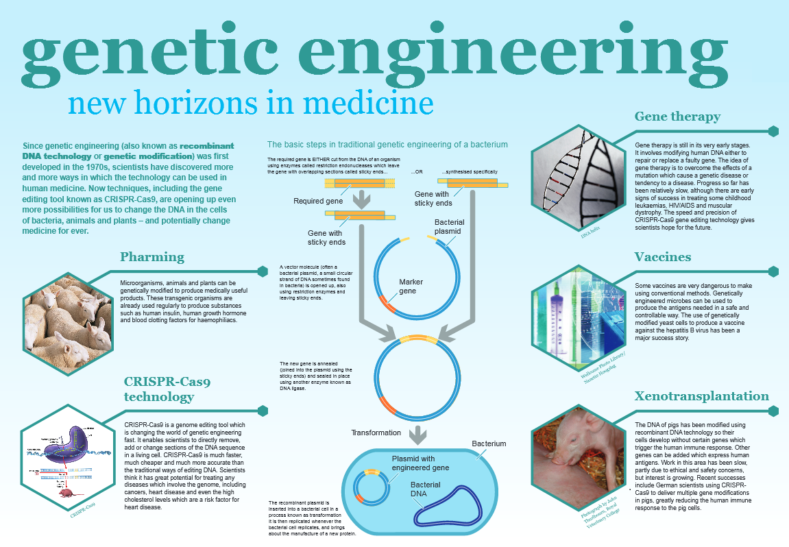 genetic manipulation research paper