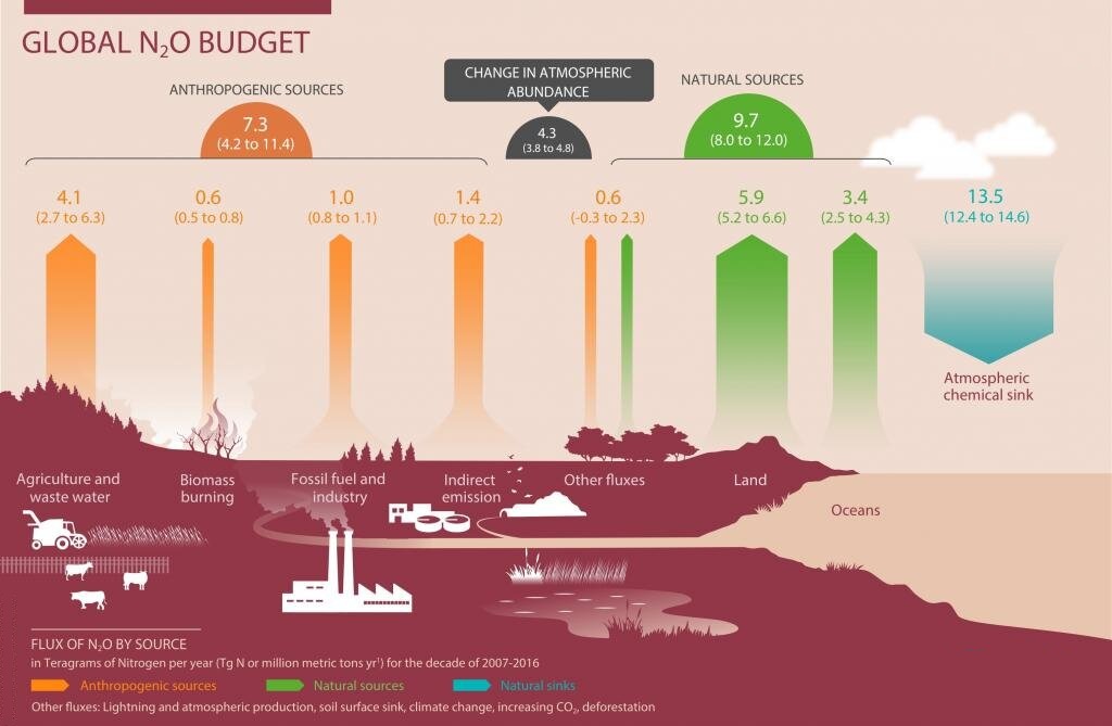 Increased Emissions of N2O