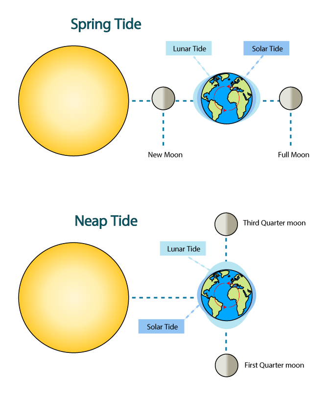 Moon’s Wobble Effect