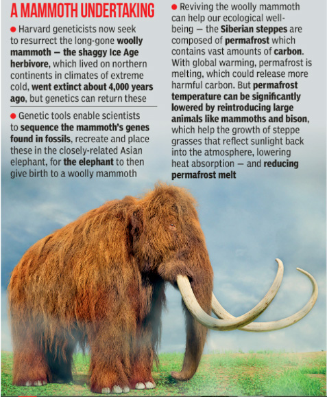 extinct animal essay in hindi