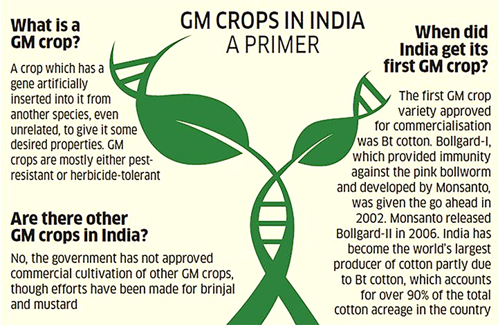 What are GM crops and how is it done?