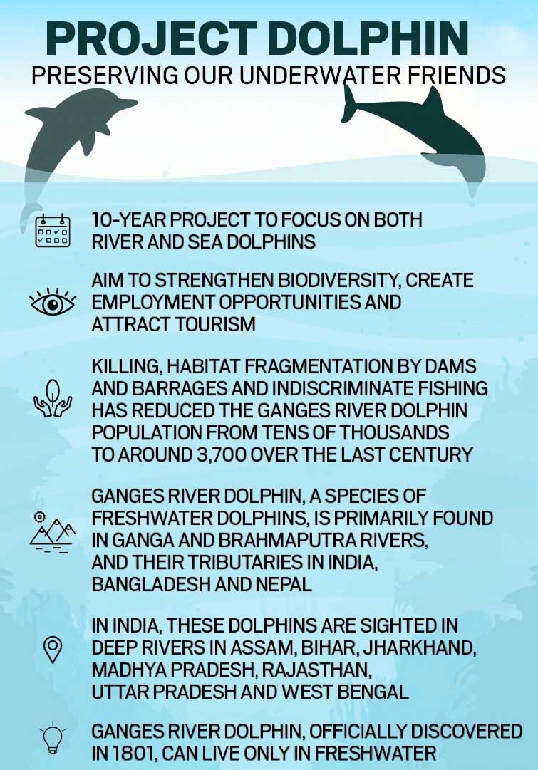 Project Dolphin Project Dolphin