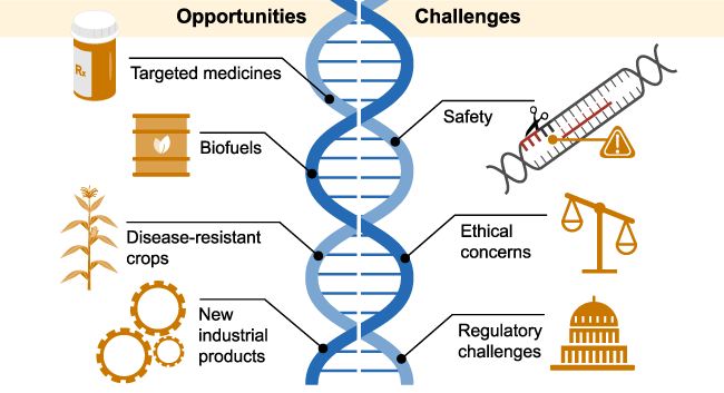 Gene editing: Playing God or repairing a 'natural system' that has gone  haywire? - Genetic Literacy Project