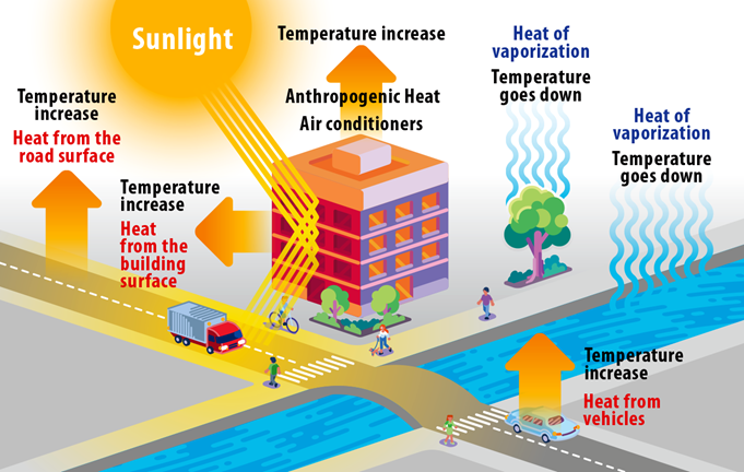 What Is an Urban Heat Island? 99