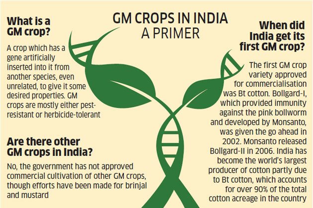 Unapproved Sowing of Genetically Modified Crops - Drishti IAS