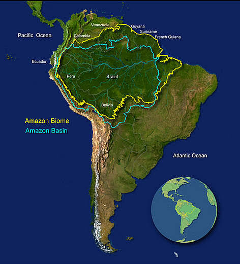 Amazon Rainforest Drishti Ias