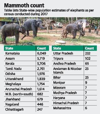 Elephant Counting Methods Employed in Census